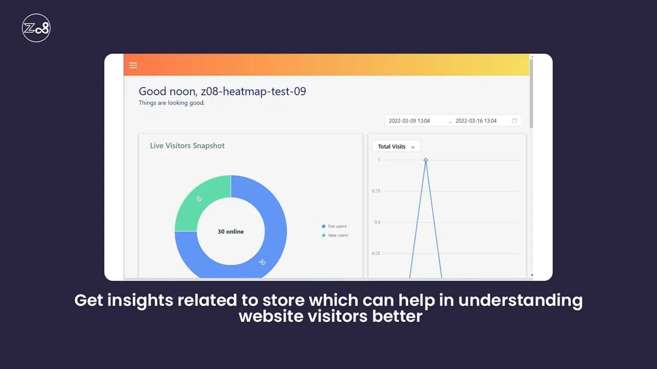 Z08 — the published analytics dashboard